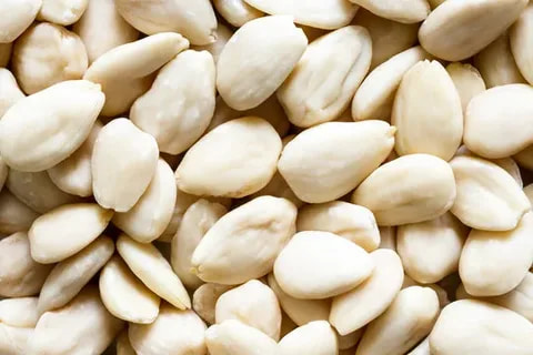 تصویر 2 از قیمت بادام درختی سفید با کیفیت ارزان + خرید عمده